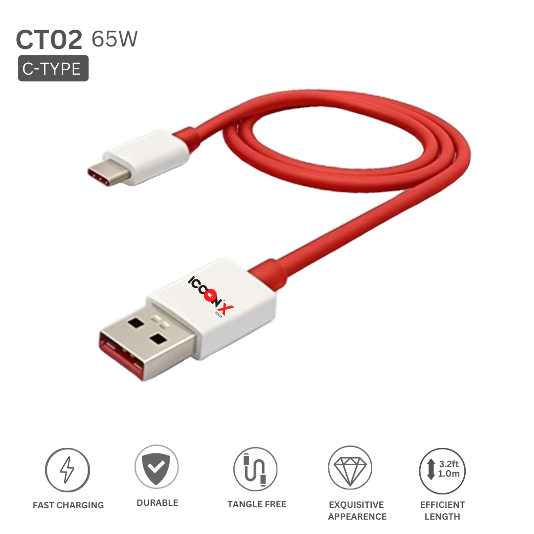 C-TYPE CABLE 65W