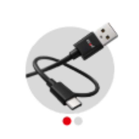 ICCONX SP 02 33W Type-C Cable - Red