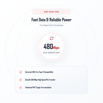 ICCONX One Way 04 480 Mbps High Speed Sync & Fast Charging